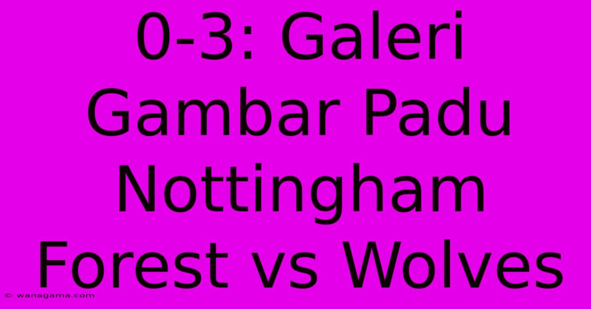 0-3: Galeri Gambar Padu Nottingham Forest Vs Wolves