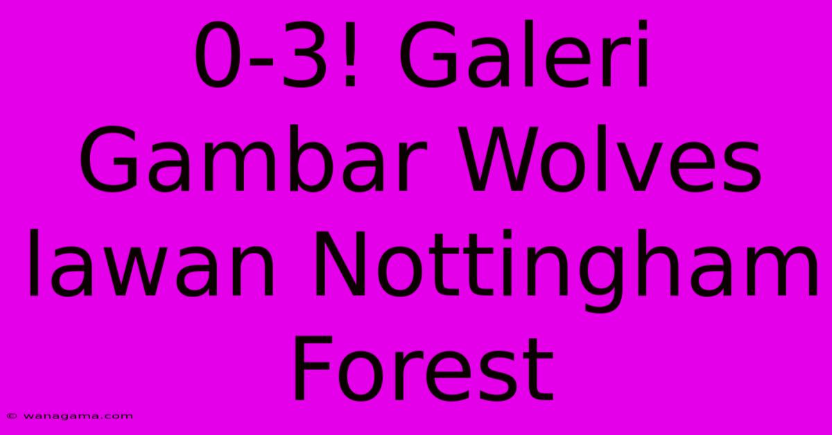 0-3! Galeri Gambar Wolves Lawan Nottingham Forest