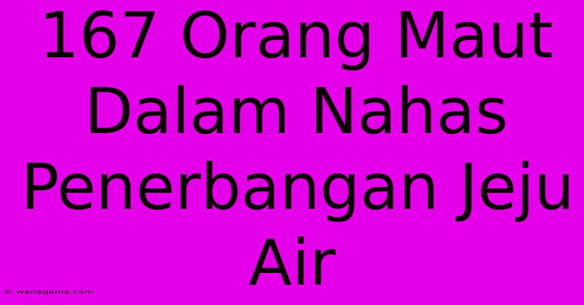 167 Orang Maut Dalam Nahas Penerbangan Jeju Air