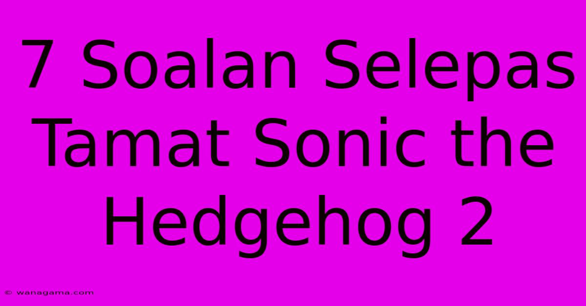 7 Soalan Selepas Tamat Sonic The Hedgehog 2