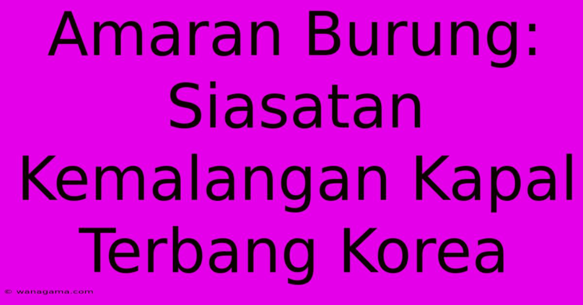 Amaran Burung: Siasatan Kemalangan Kapal Terbang Korea