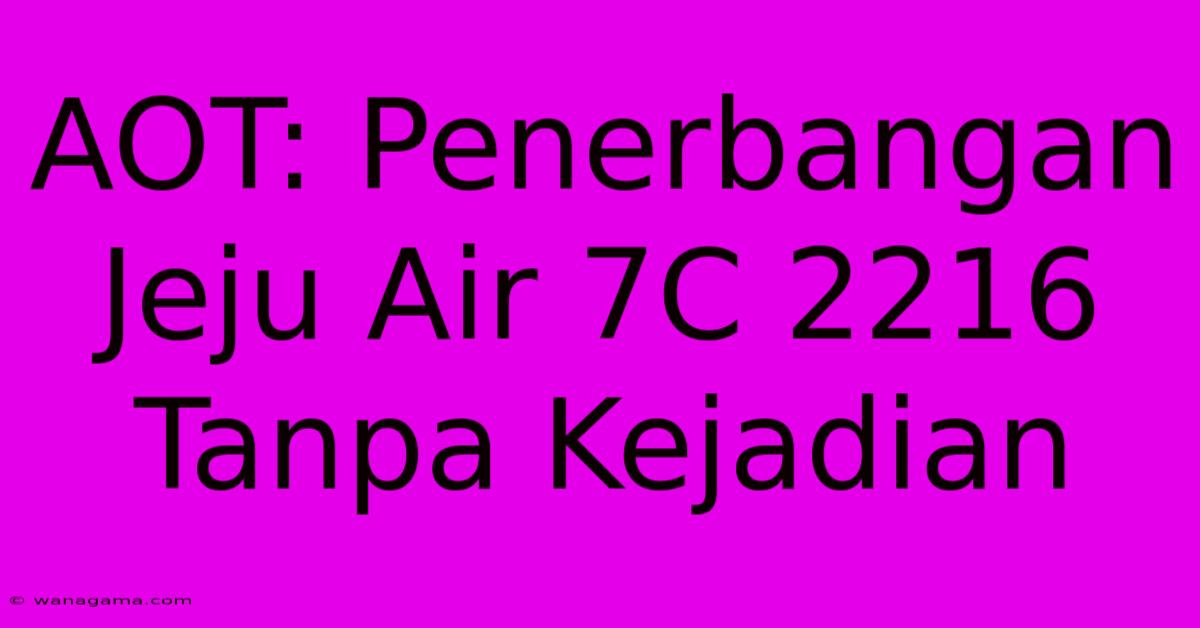 AOT: Penerbangan Jeju Air 7C 2216 Tanpa Kejadian