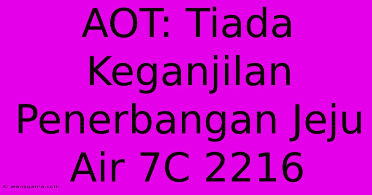 AOT: Tiada Keganjilan Penerbangan Jeju Air 7C 2216