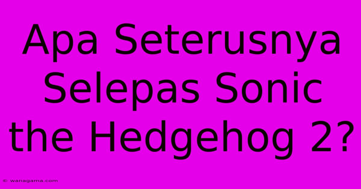 Apa Seterusnya Selepas Sonic The Hedgehog 2?