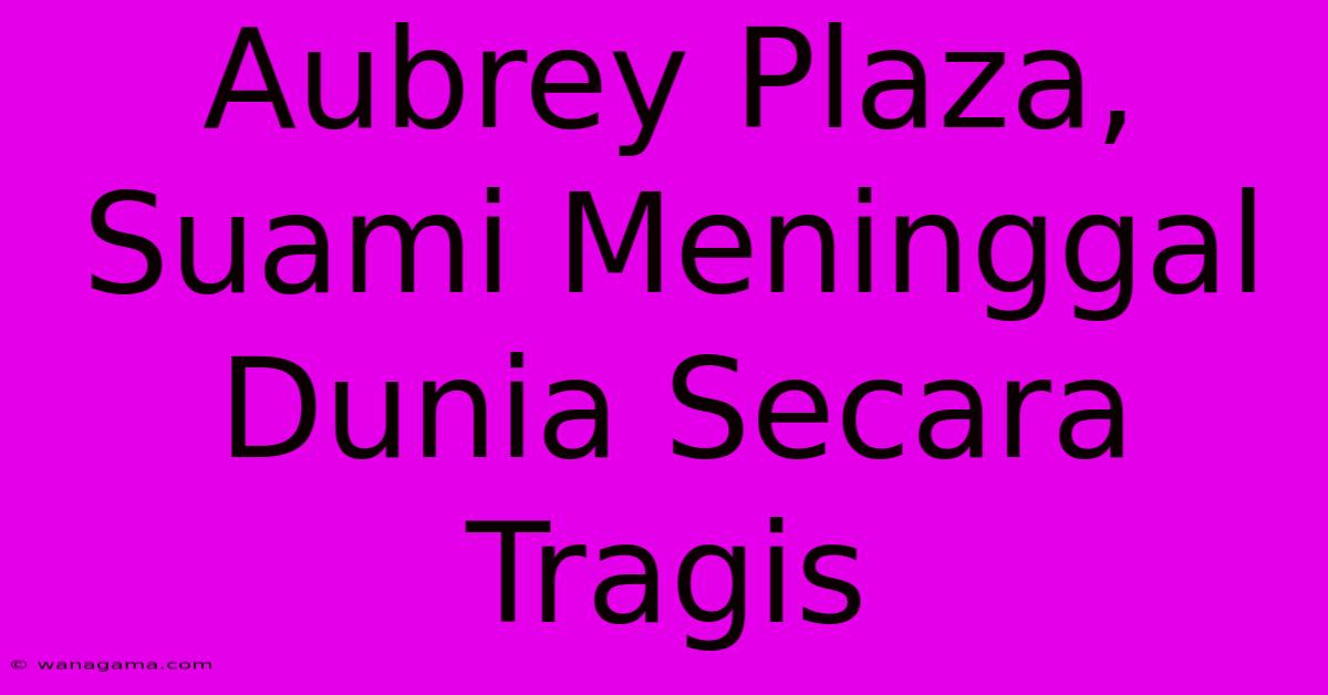 Aubrey Plaza, Suami Meninggal Dunia Secara Tragis