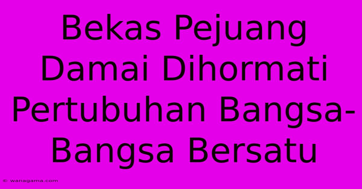 Bekas Pejuang Damai Dihormati Pertubuhan Bangsa-Bangsa Bersatu