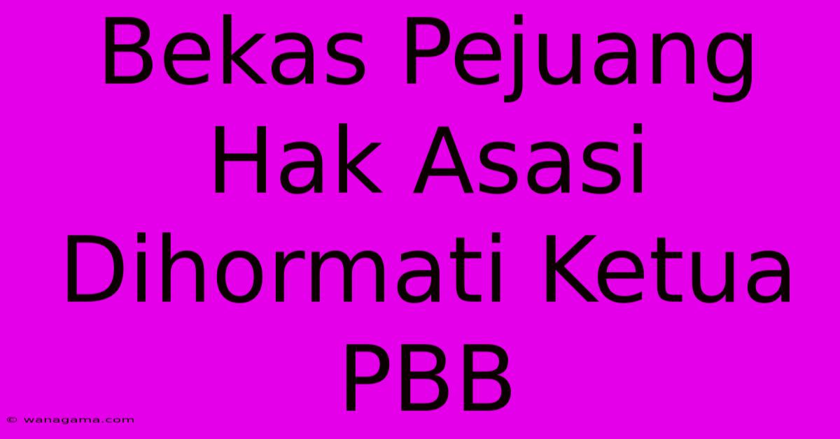 Bekas Pejuang Hak Asasi Dihormati Ketua PBB