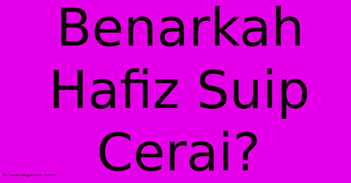 Benarkah Hafiz Suip Cerai?