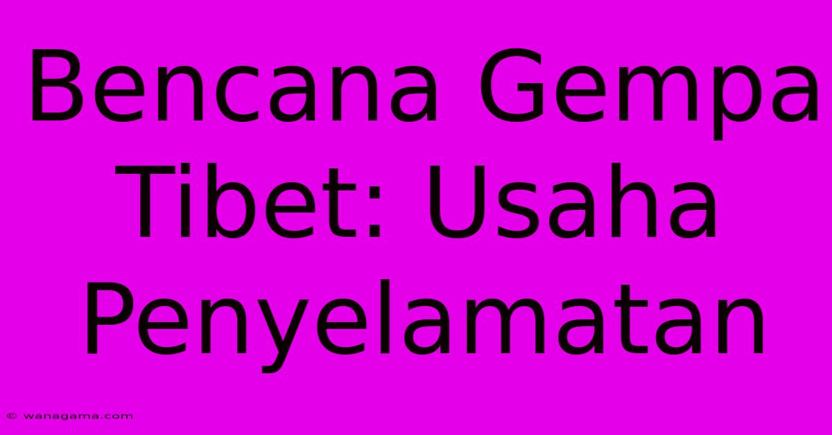 Bencana Gempa Tibet: Usaha Penyelamatan