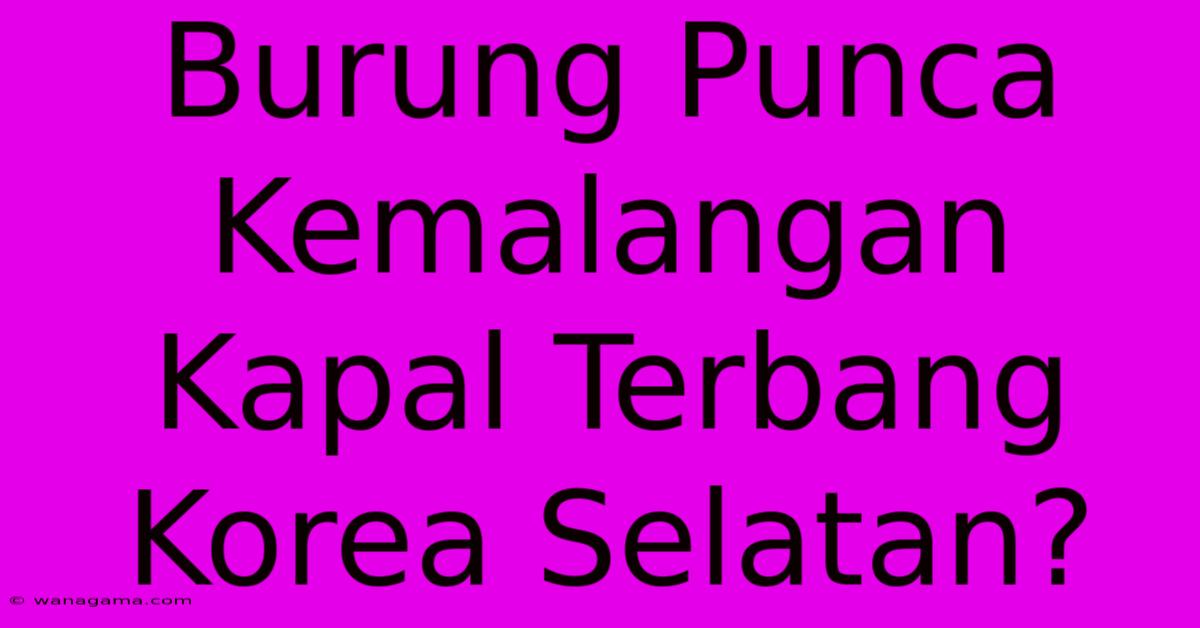 Burung Punca Kemalangan Kapal Terbang Korea Selatan?