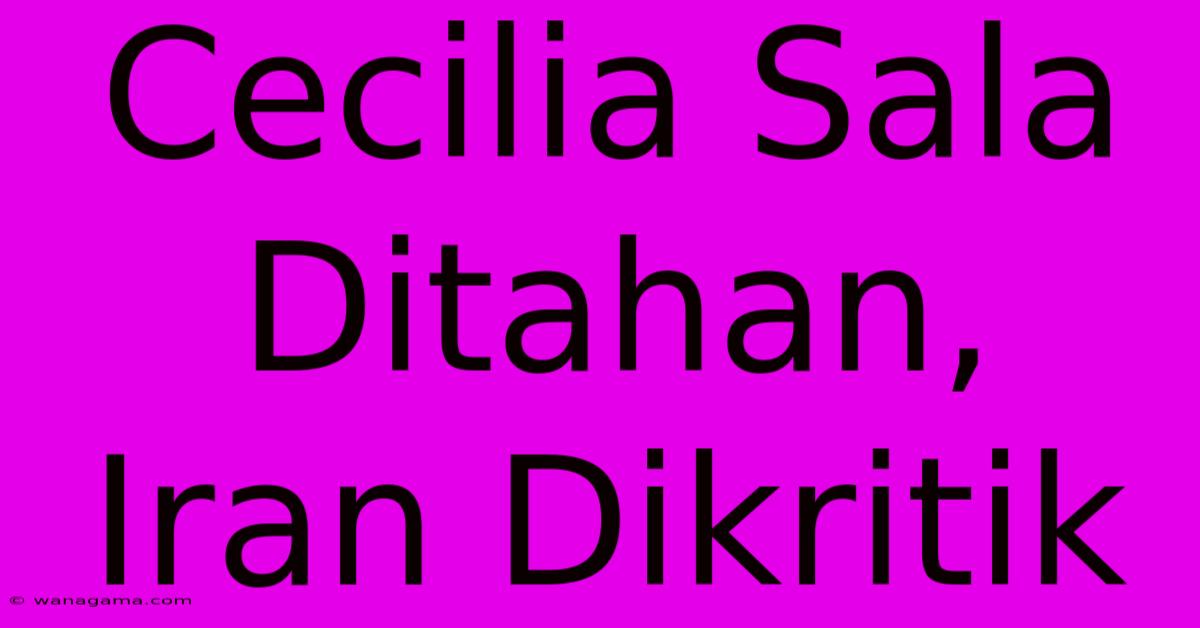 Cecilia Sala Ditahan, Iran Dikritik