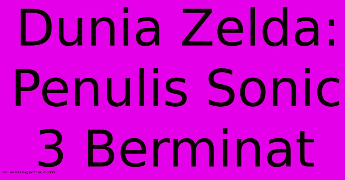 Dunia Zelda:  Penulis Sonic 3 Berminat