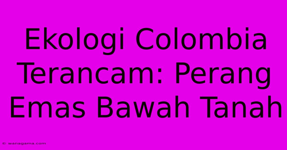 Ekologi Colombia Terancam: Perang Emas Bawah Tanah