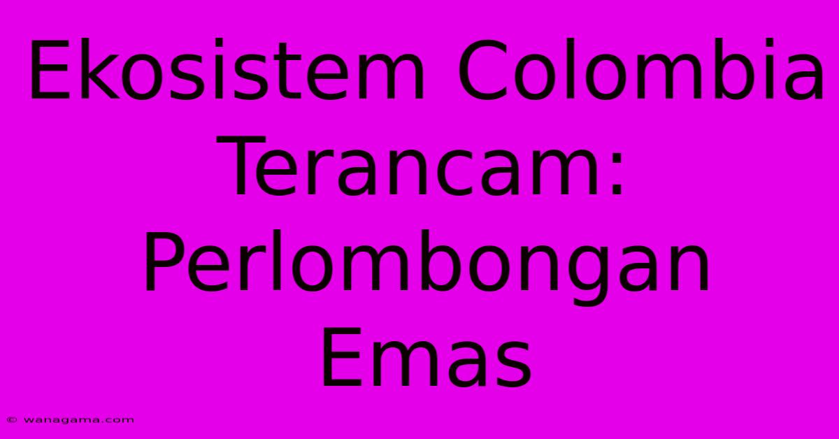 Ekosistem Colombia Terancam: Perlombongan Emas