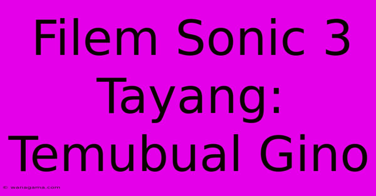 Filem Sonic 3 Tayang: Temubual Gino