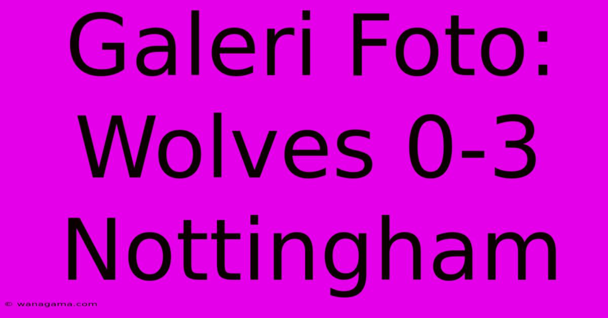 Galeri Foto: Wolves 0-3 Nottingham