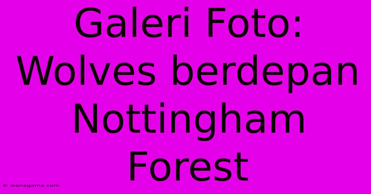 Galeri Foto: Wolves Berdepan Nottingham Forest