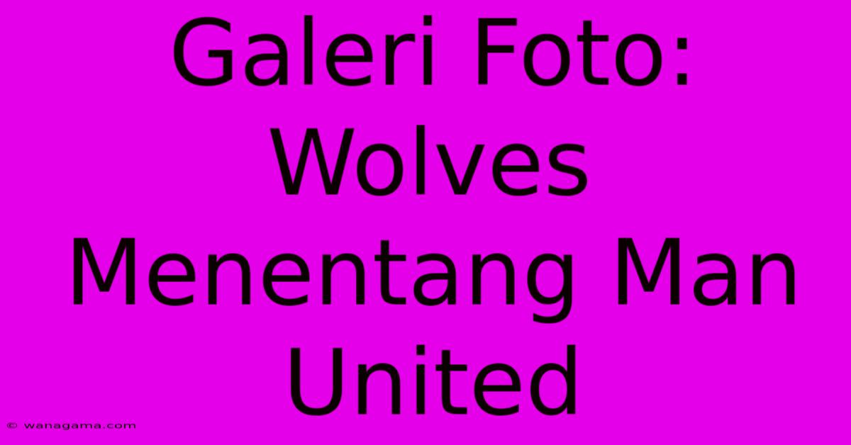 Galeri Foto: Wolves Menentang Man United