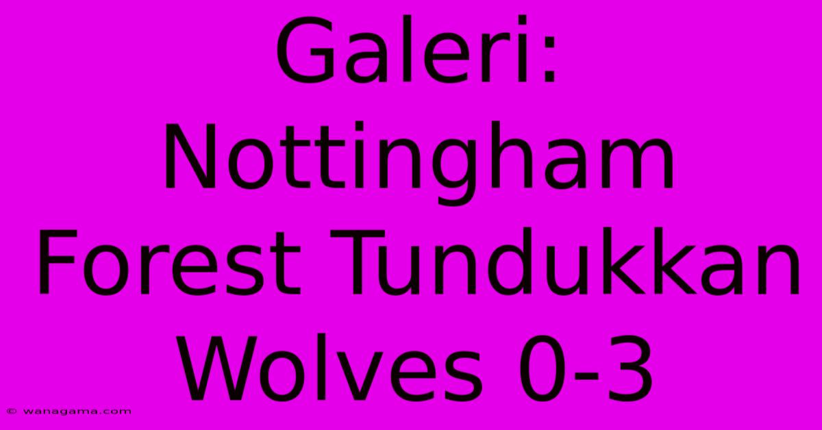 Galeri:  Nottingham Forest Tundukkan Wolves 0-3