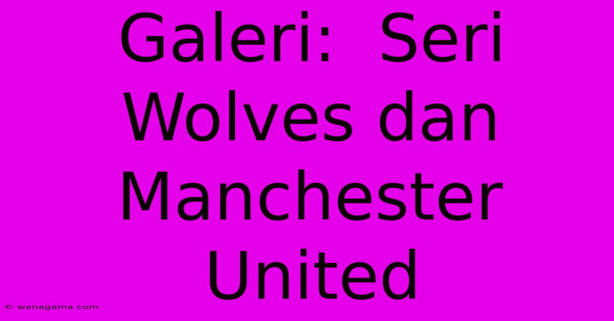 Galeri:  Seri Wolves Dan Manchester United