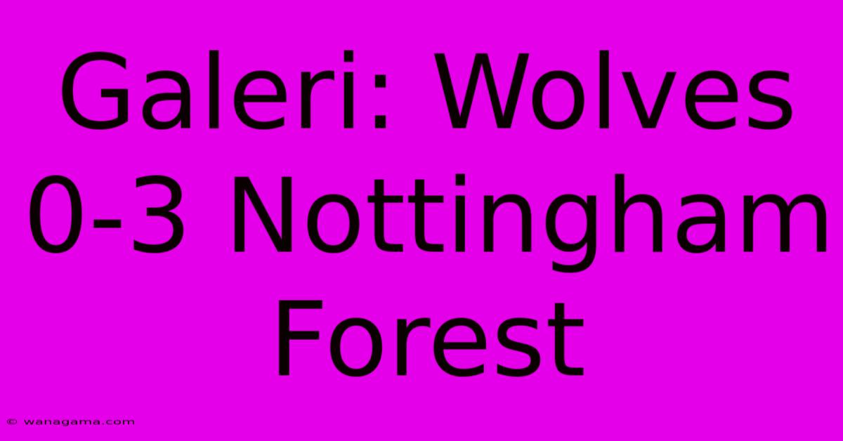 Galeri: Wolves 0-3 Nottingham Forest