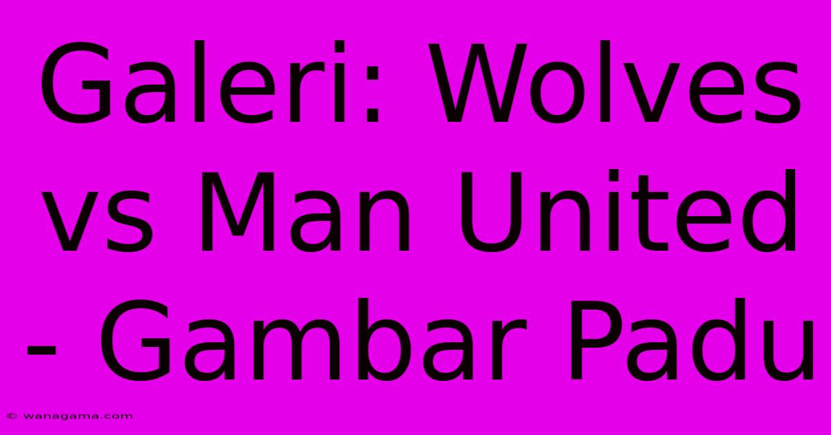 Galeri: Wolves Vs Man United - Gambar Padu