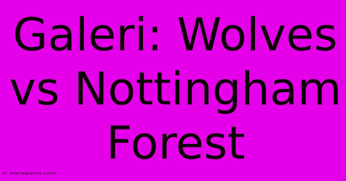 Galeri: Wolves Vs Nottingham Forest