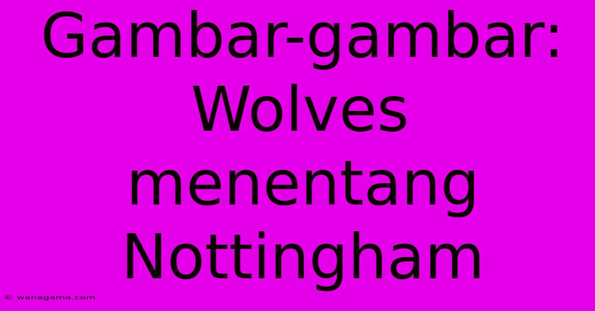 Gambar-gambar: Wolves Menentang Nottingham