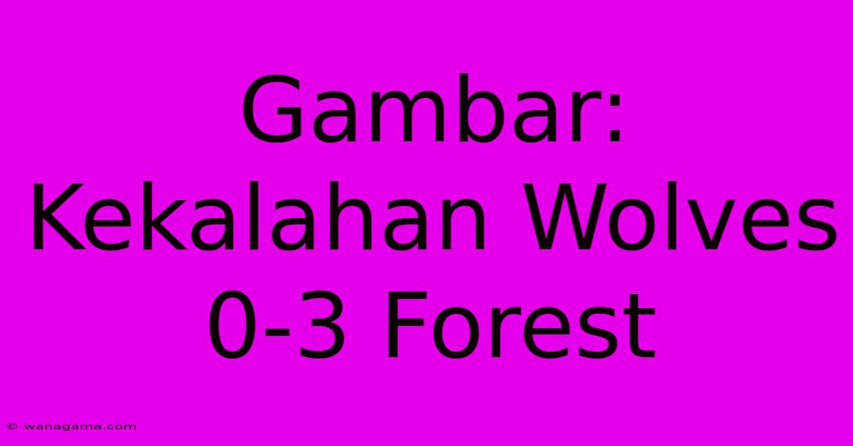 Gambar: Kekalahan Wolves 0-3 Forest