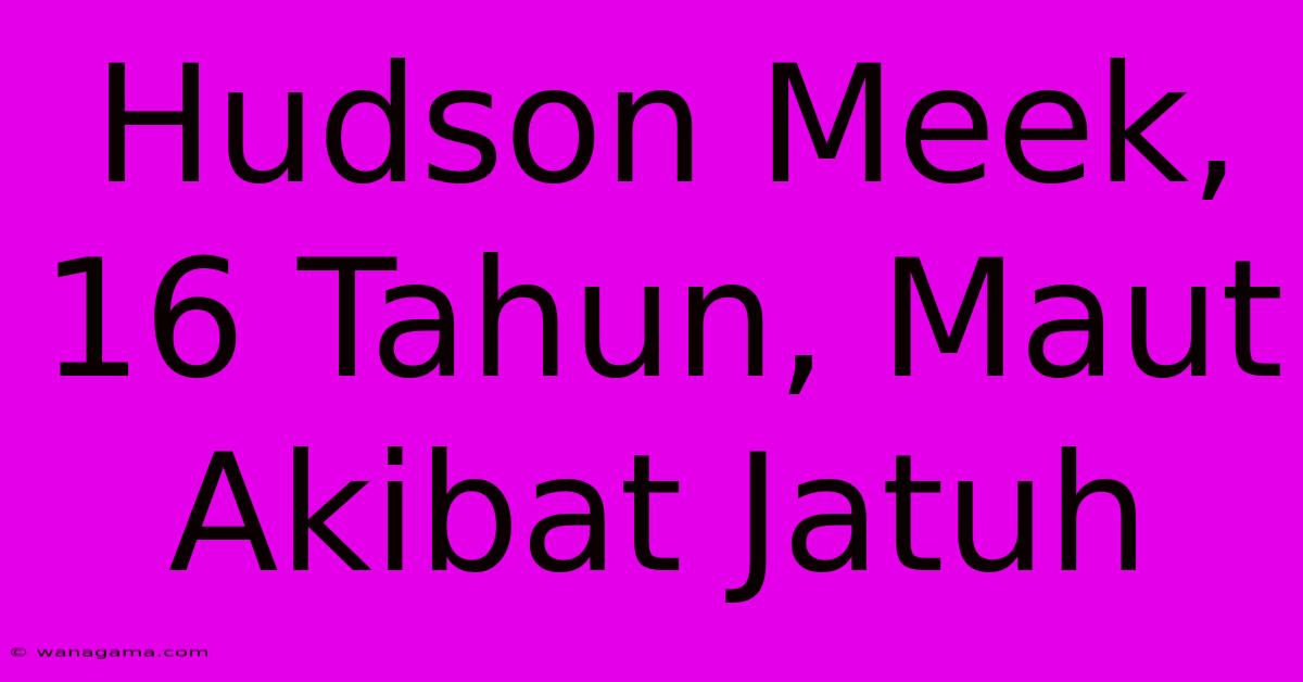 Hudson Meek, 16 Tahun, Maut Akibat Jatuh