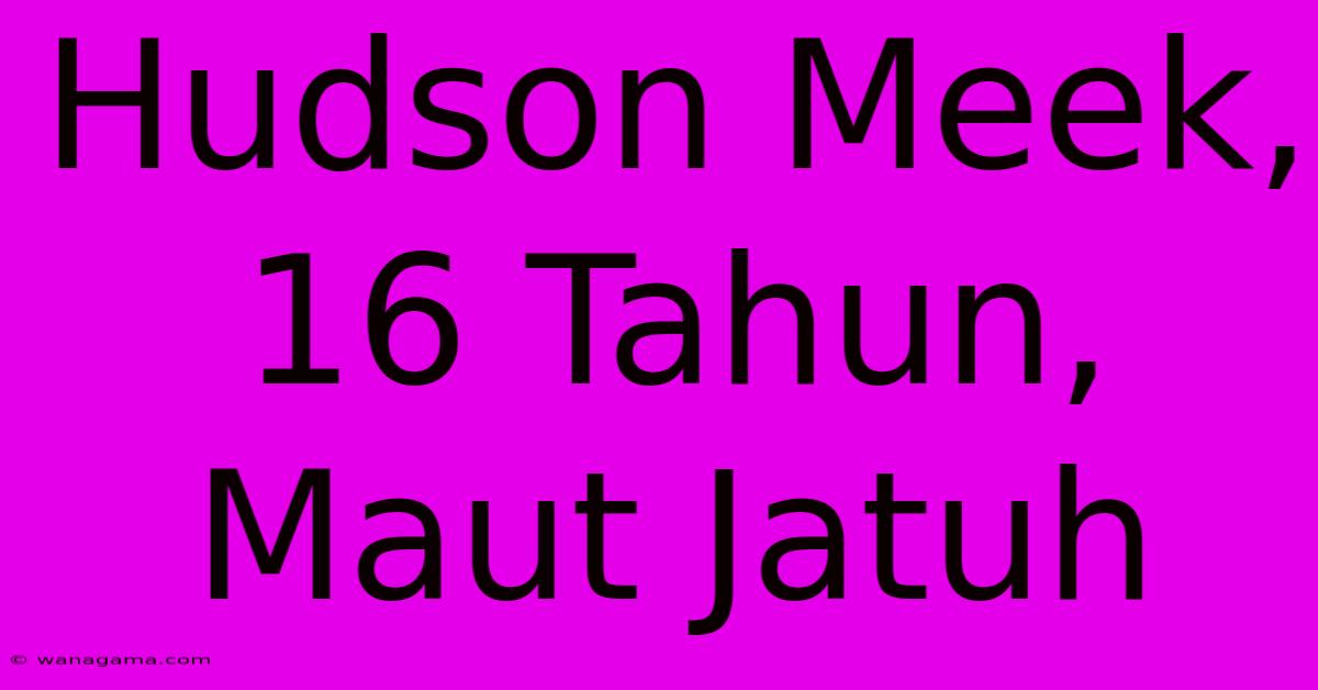 Hudson Meek, 16 Tahun, Maut Jatuh