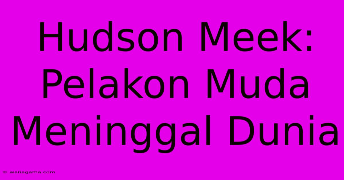 Hudson Meek: Pelakon Muda Meninggal Dunia