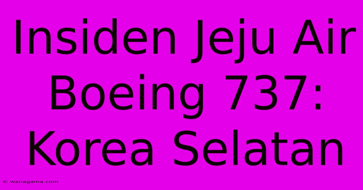 Insiden Jeju Air Boeing 737: Korea Selatan