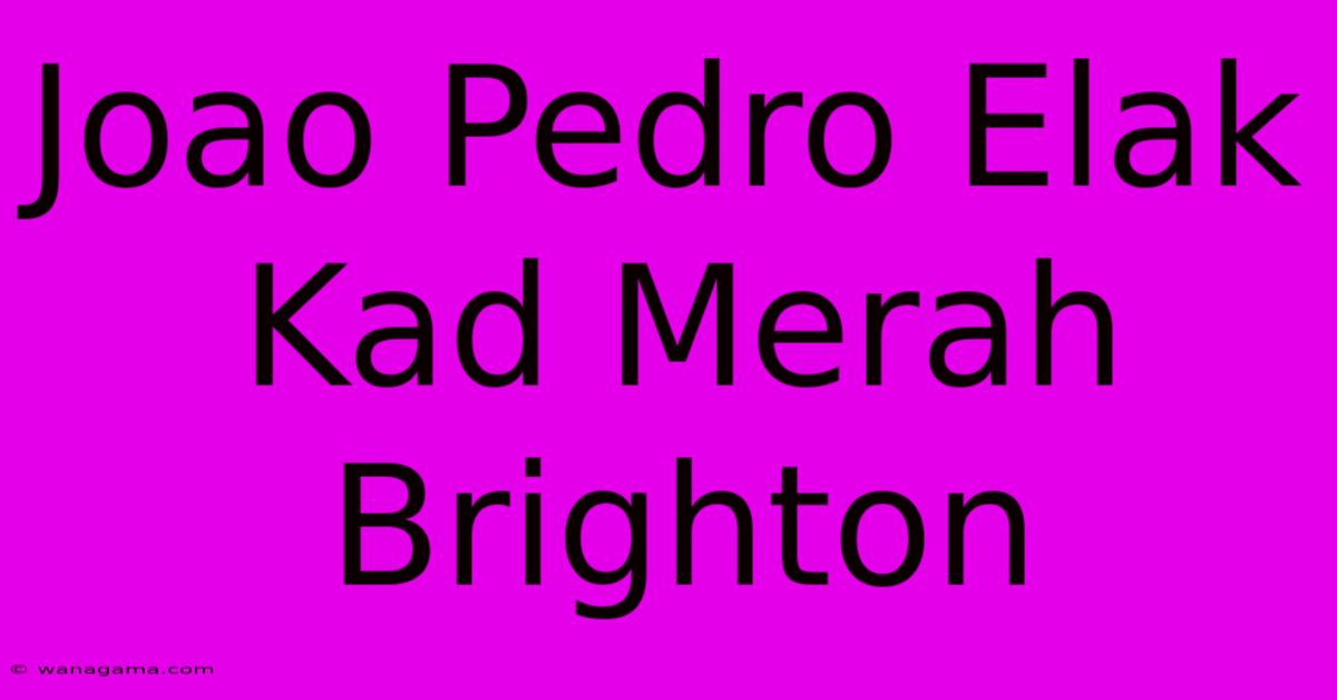 Joao Pedro Elak Kad Merah Brighton