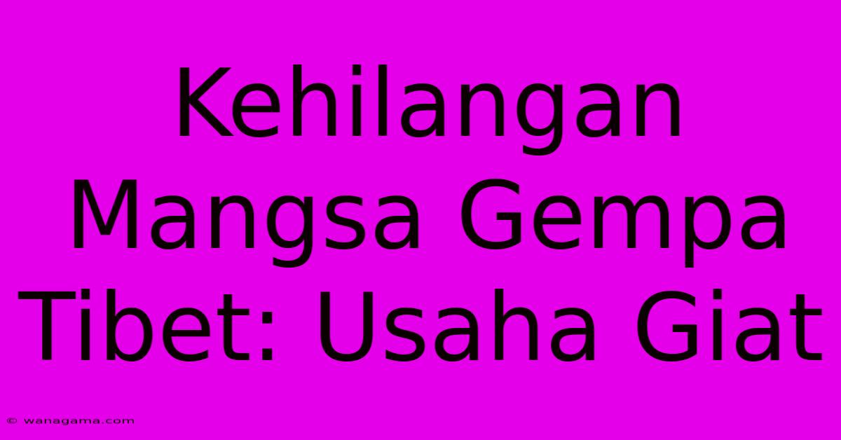 Kehilangan Mangsa Gempa Tibet: Usaha Giat