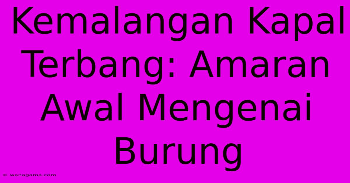 Kemalangan Kapal Terbang: Amaran Awal Mengenai Burung