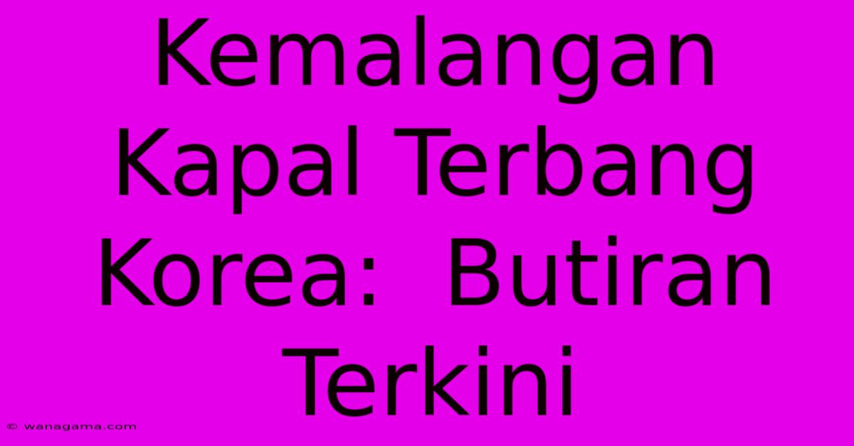 Kemalangan Kapal Terbang Korea:  Butiran Terkini