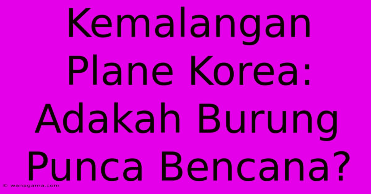 Kemalangan Plane Korea: Adakah Burung Punca Bencana?