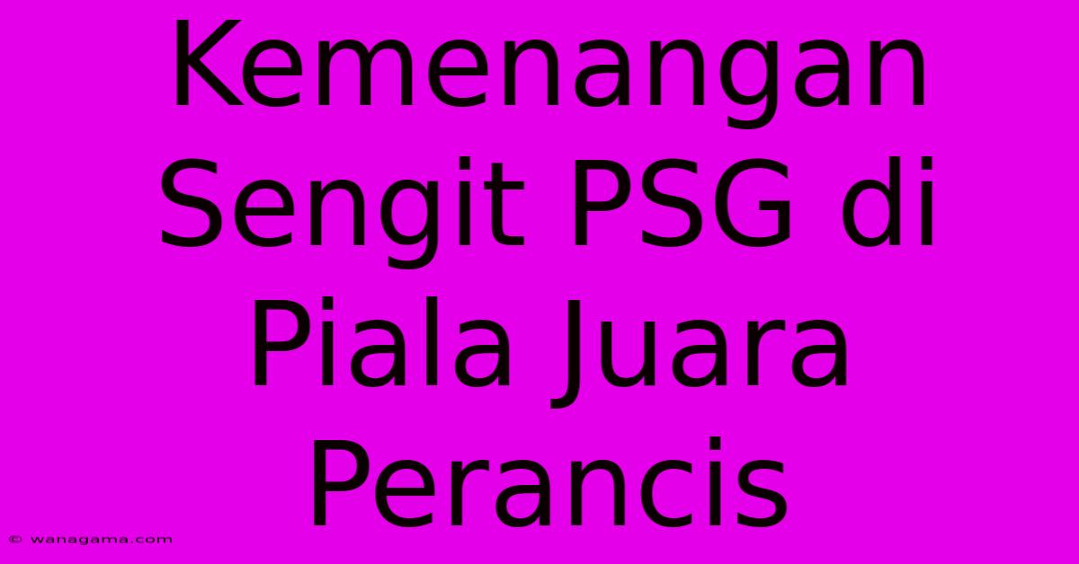 Kemenangan Sengit PSG Di Piala Juara Perancis