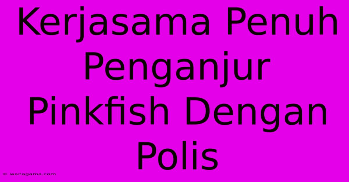 Kerjasama Penuh Penganjur Pinkfish Dengan Polis