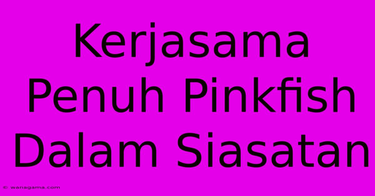 Kerjasama Penuh Pinkfish Dalam Siasatan