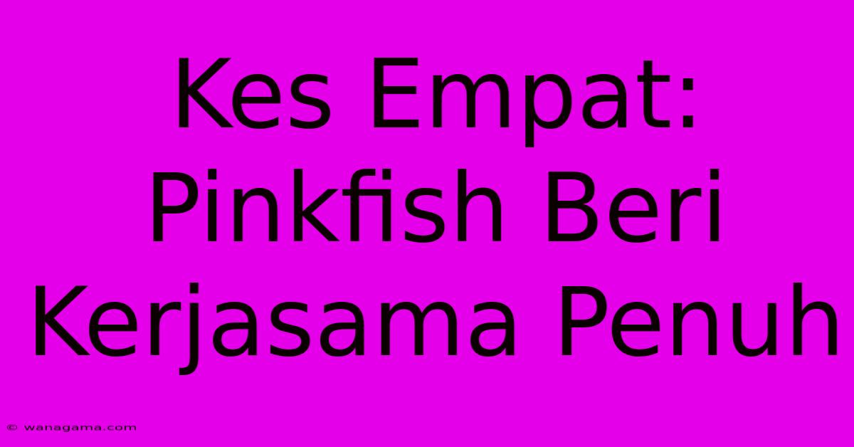 Kes Empat: Pinkfish Beri Kerjasama Penuh