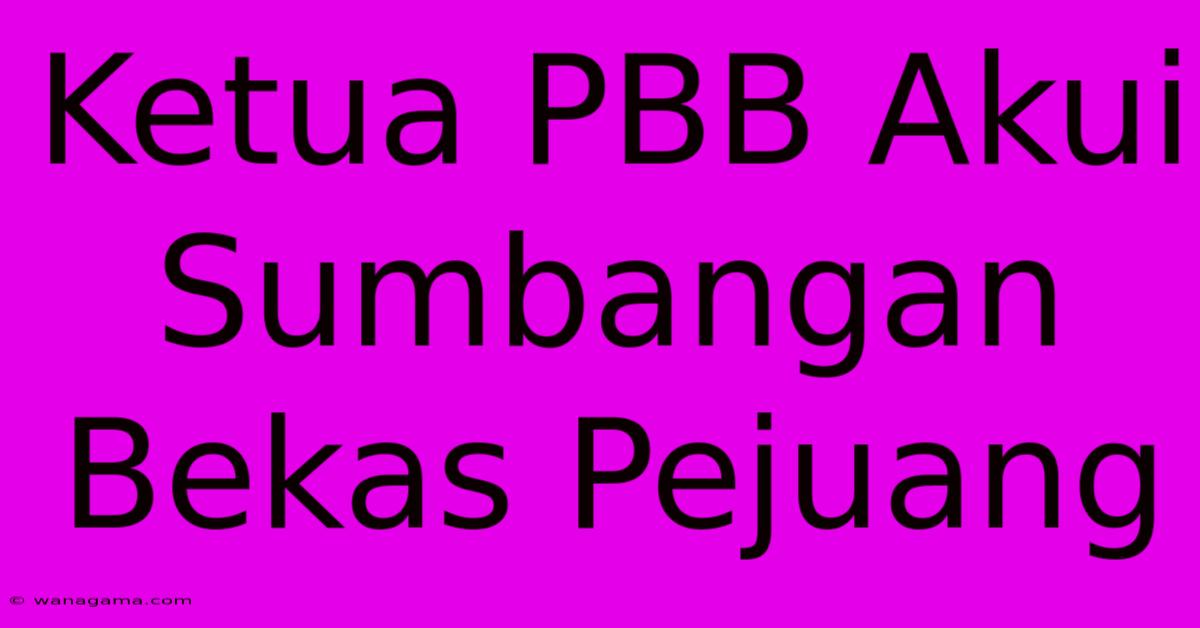 Ketua PBB Akui Sumbangan Bekas Pejuang