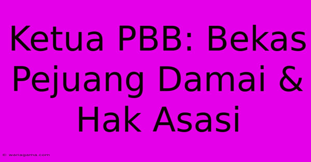 Ketua PBB: Bekas Pejuang Damai & Hak Asasi