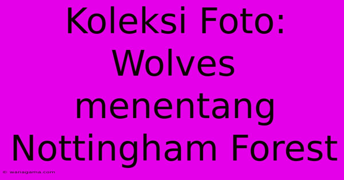 Koleksi Foto: Wolves Menentang Nottingham Forest