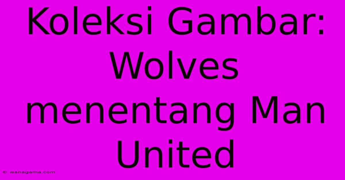 Koleksi Gambar: Wolves Menentang Man United