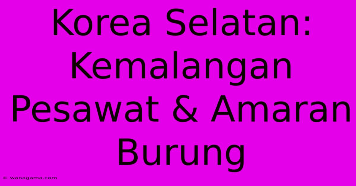 Korea Selatan: Kemalangan Pesawat & Amaran Burung