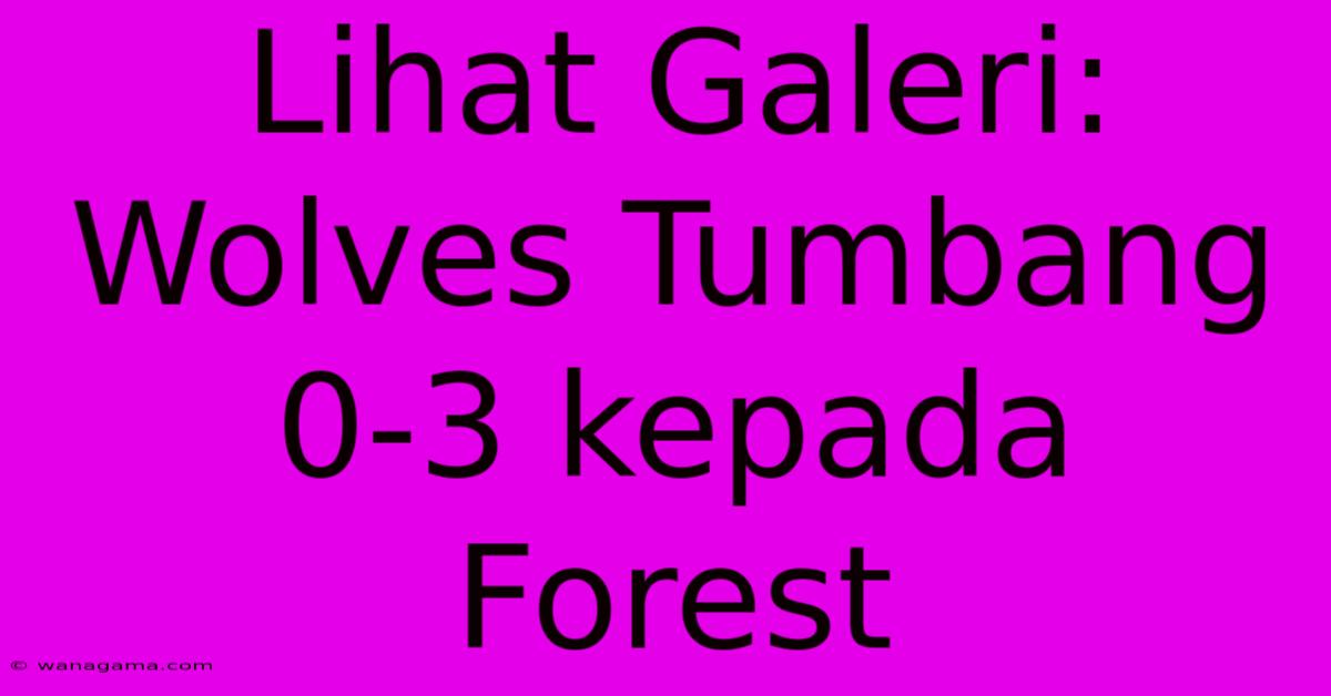 Lihat Galeri: Wolves Tumbang 0-3 Kepada Forest