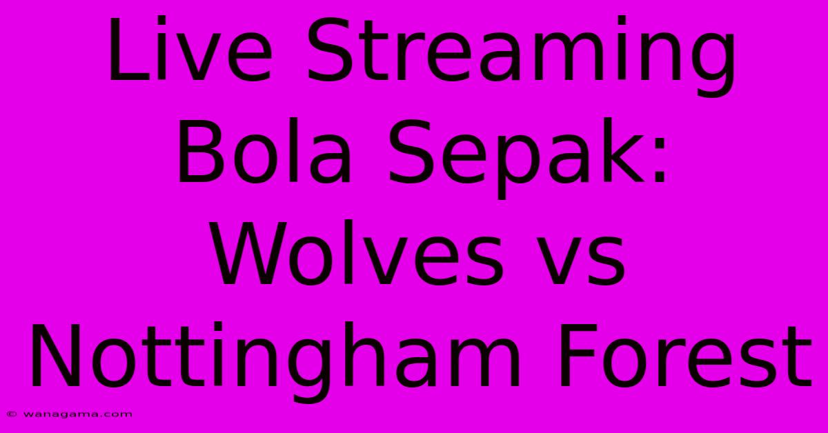 Live Streaming Bola Sepak: Wolves Vs Nottingham Forest