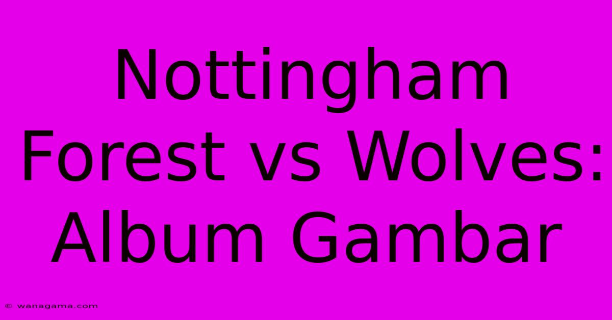 Nottingham Forest Vs Wolves: Album Gambar